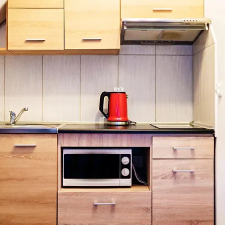 Lejlighed Lesny Dom, Sun & Snow