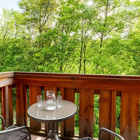 Lesny Dom, Sun & Snow Karpacz